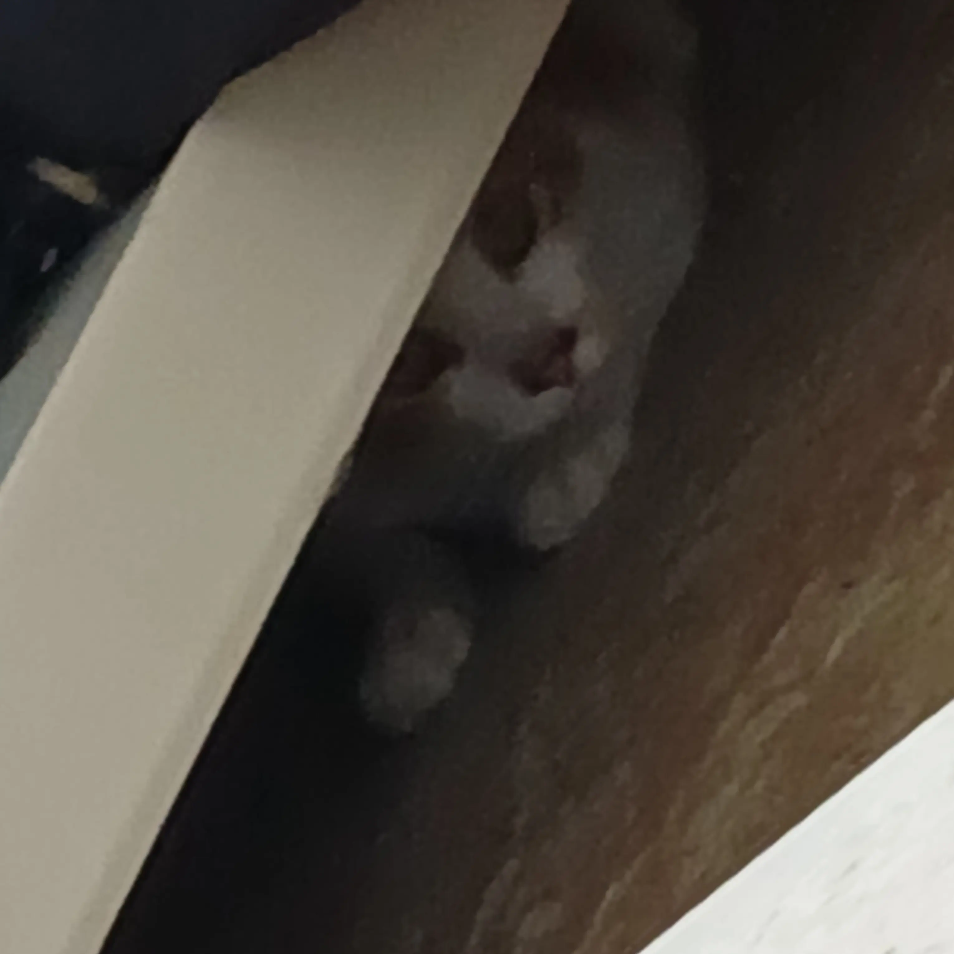 DeepFlash3322의 싸이코드