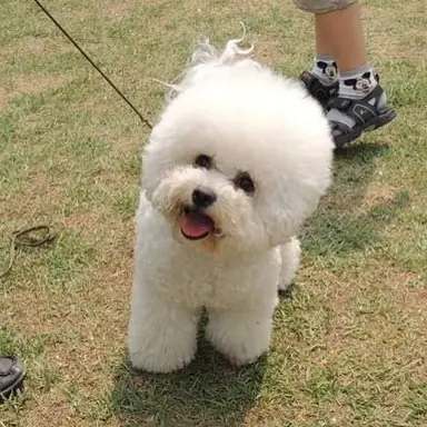 Profile image of 몽글