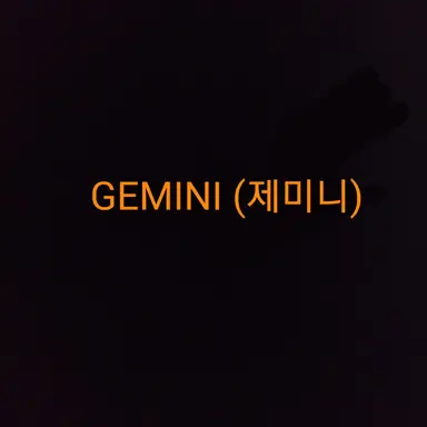 Profile image of 제미니