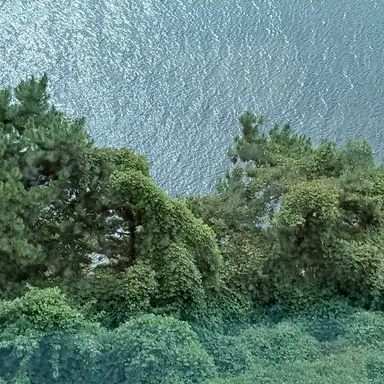 Profile image of 공룡