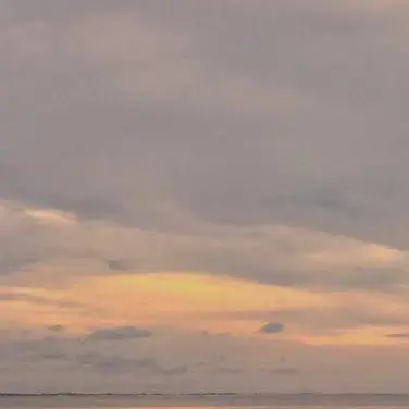 Profile image of 髙地