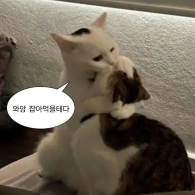 Profile image of 코코노이 하지메