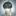 신린호