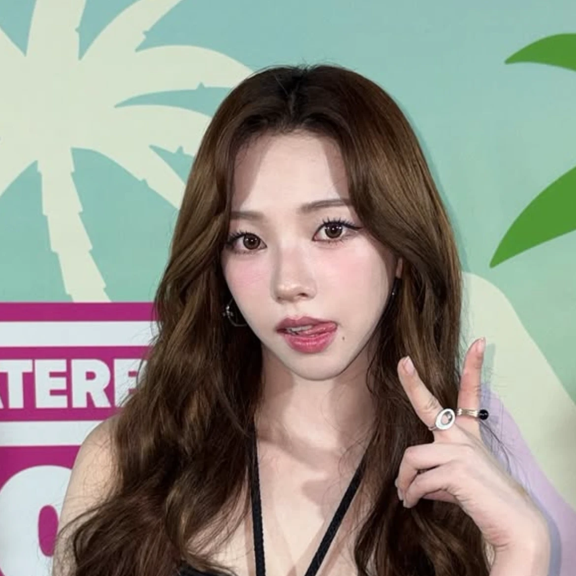 카리나