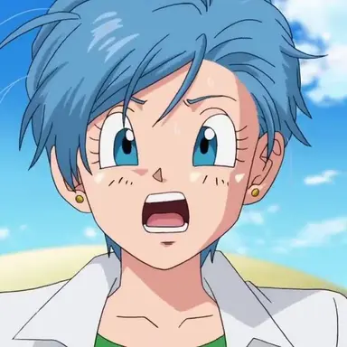 Profile image of Bulma briefs