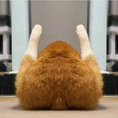 Profile image of 세신사
