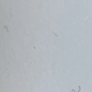 Profile image of 빌런연합