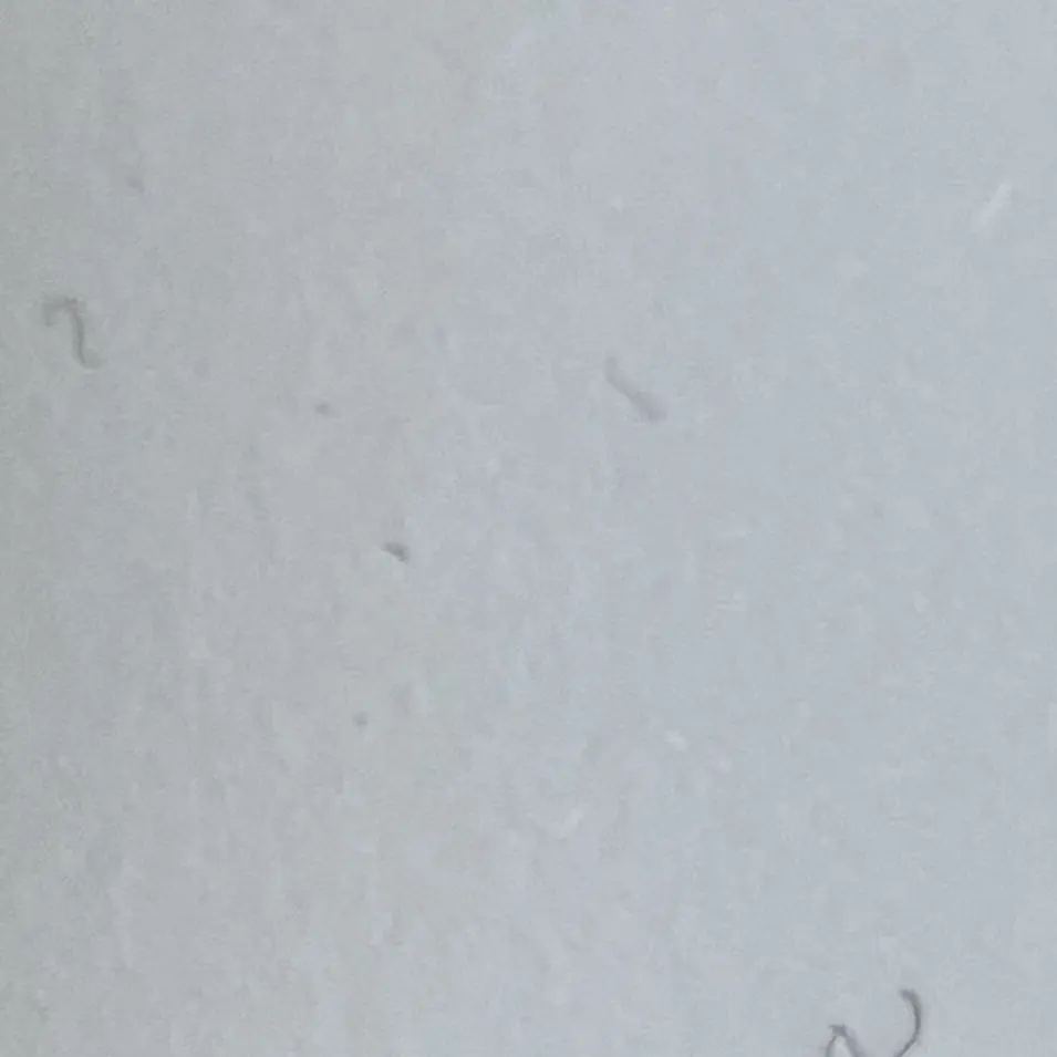 Ajdnjfjejj의 「최종결전 .」