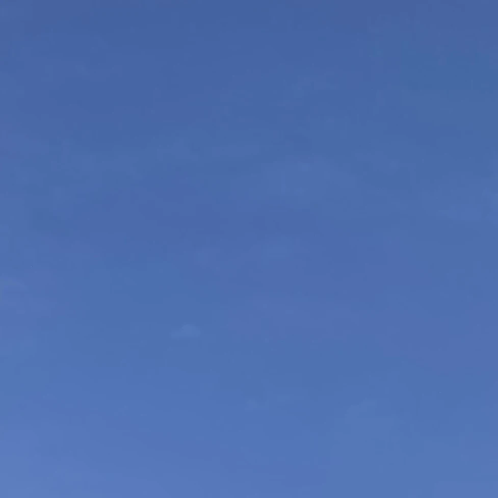 レオ