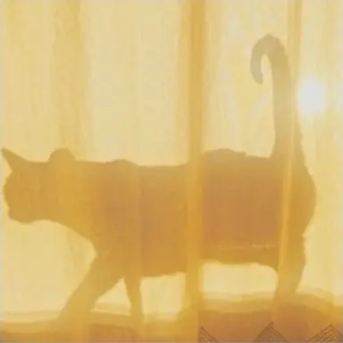 Profile image of 照