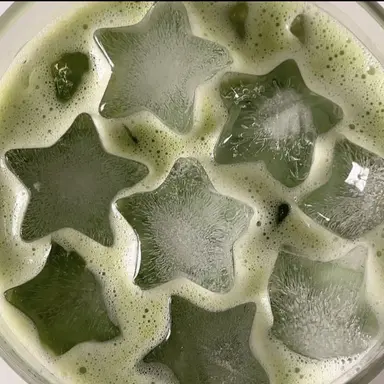 Profile image of 서창빈