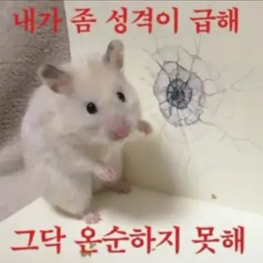 Profile image of 우리요