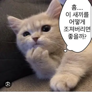 Profile image of 여까