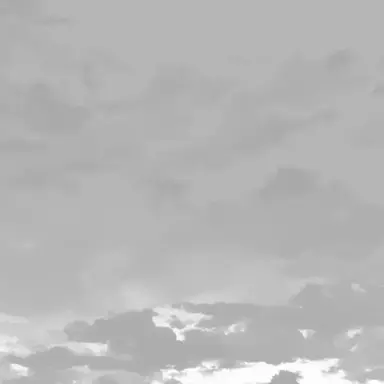 Profile image of userの母