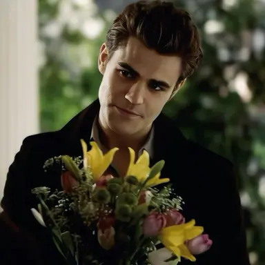 Profile image of Stefan Salvatore