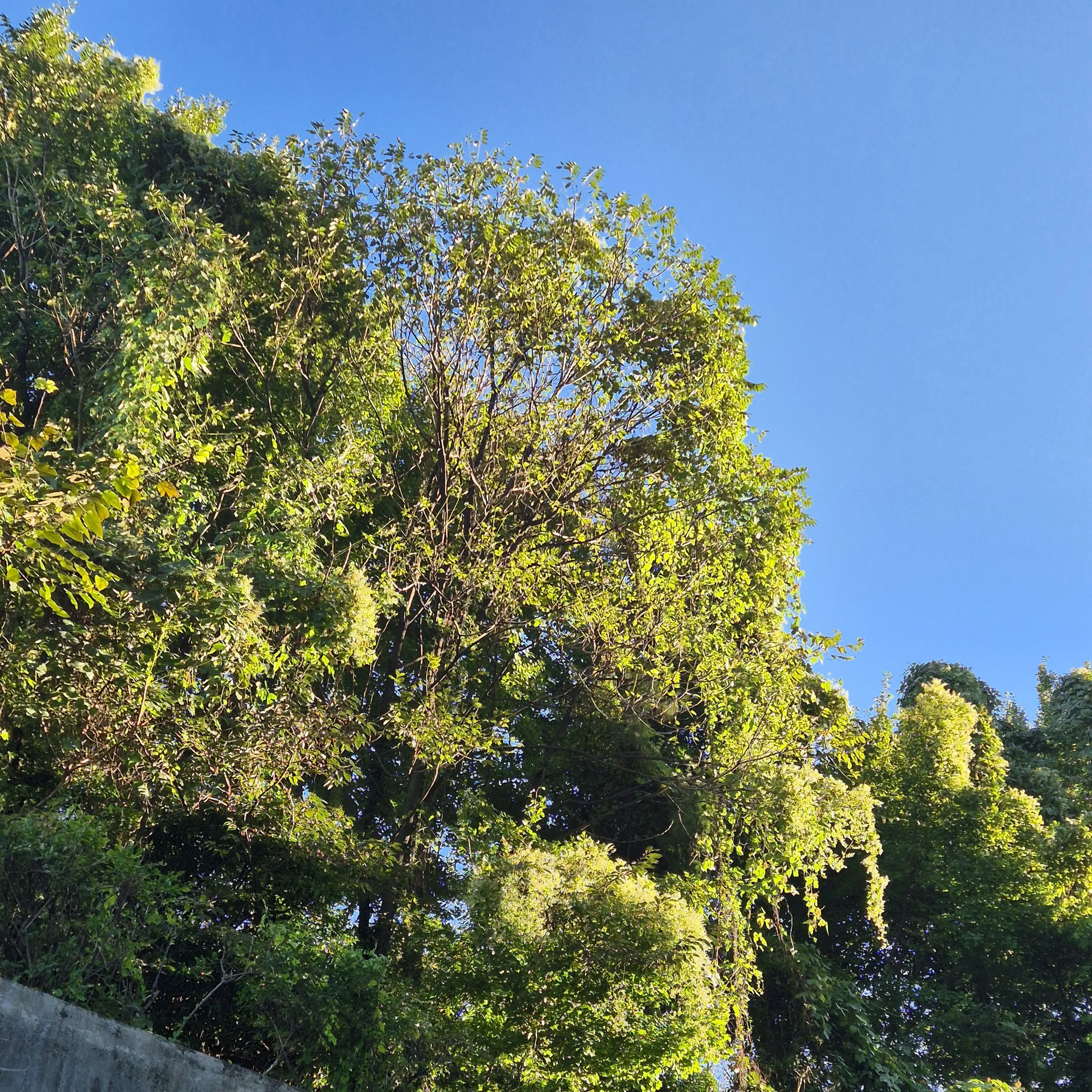 ArcticHero8434의 잠시 쉬어가십시오