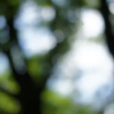 Profile image of 一徹