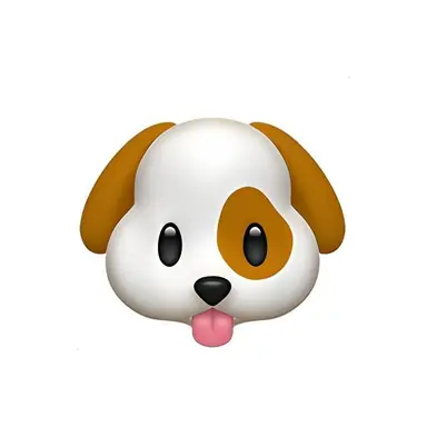 Profile image of 정하진