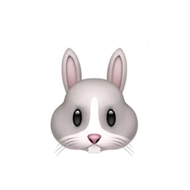 Profile image of 류나연