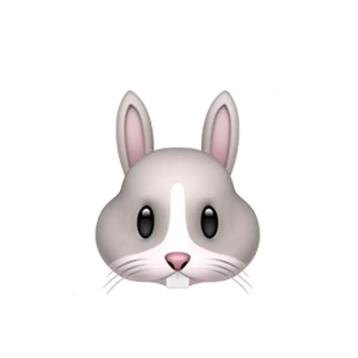 WiseDebit9615의 여우뇬ㅗ