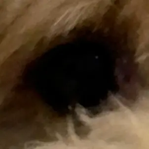 Profile image of 조커