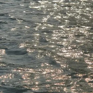 Profile image of 황현진