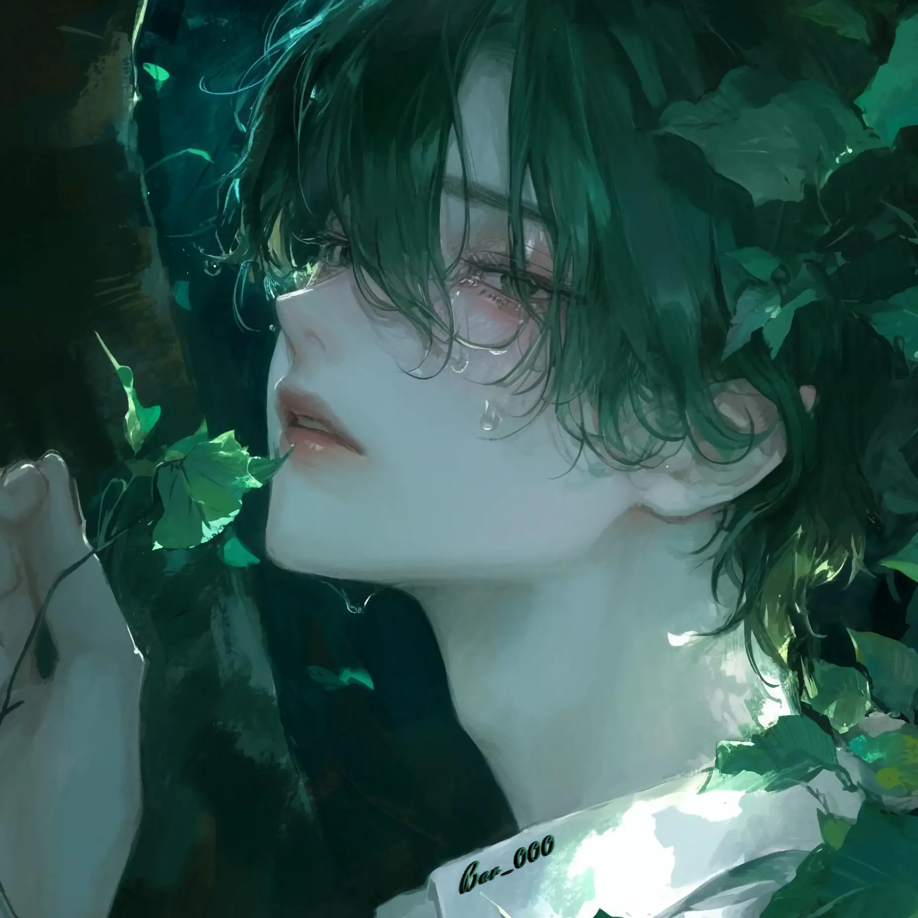 Bar_000의 엘라이라 문리프