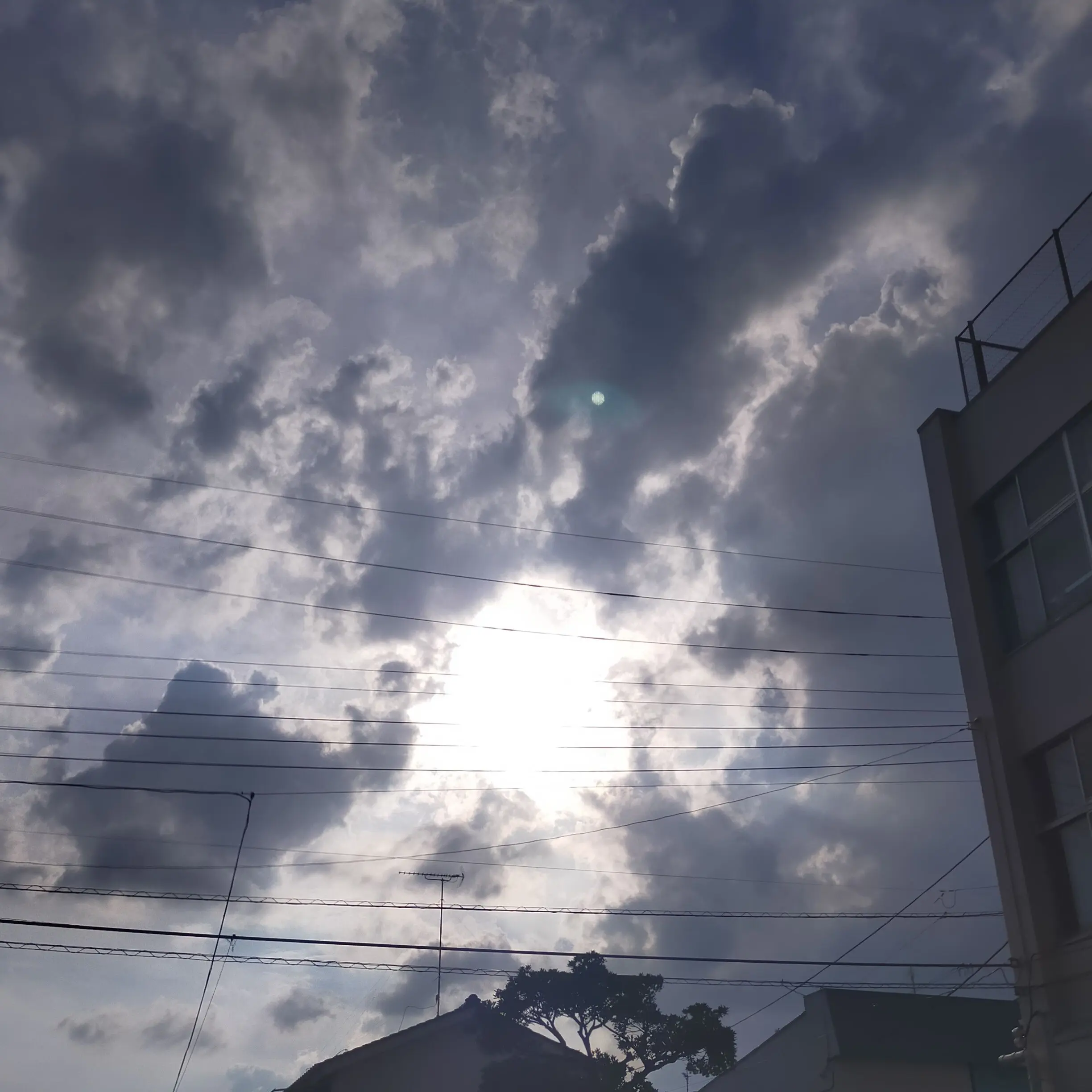 HugePlume0052의 なんで。