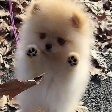 Profile image of 이하건