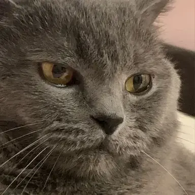 Profile image of mother_daughter