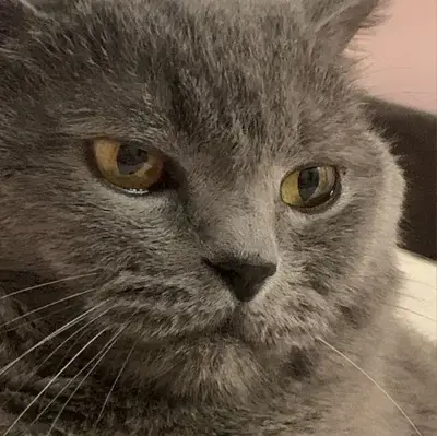 FineMedal4472의 mother_daughter