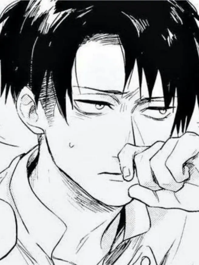 disokz의 리바이 아커만