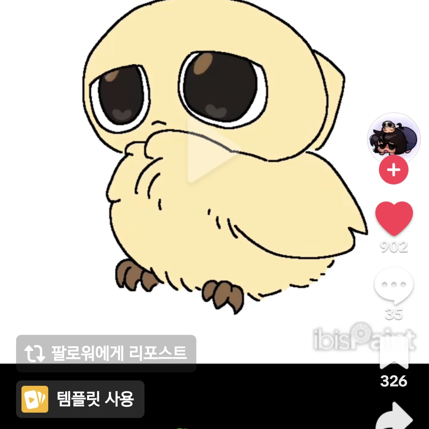 어미  치킨쉘리