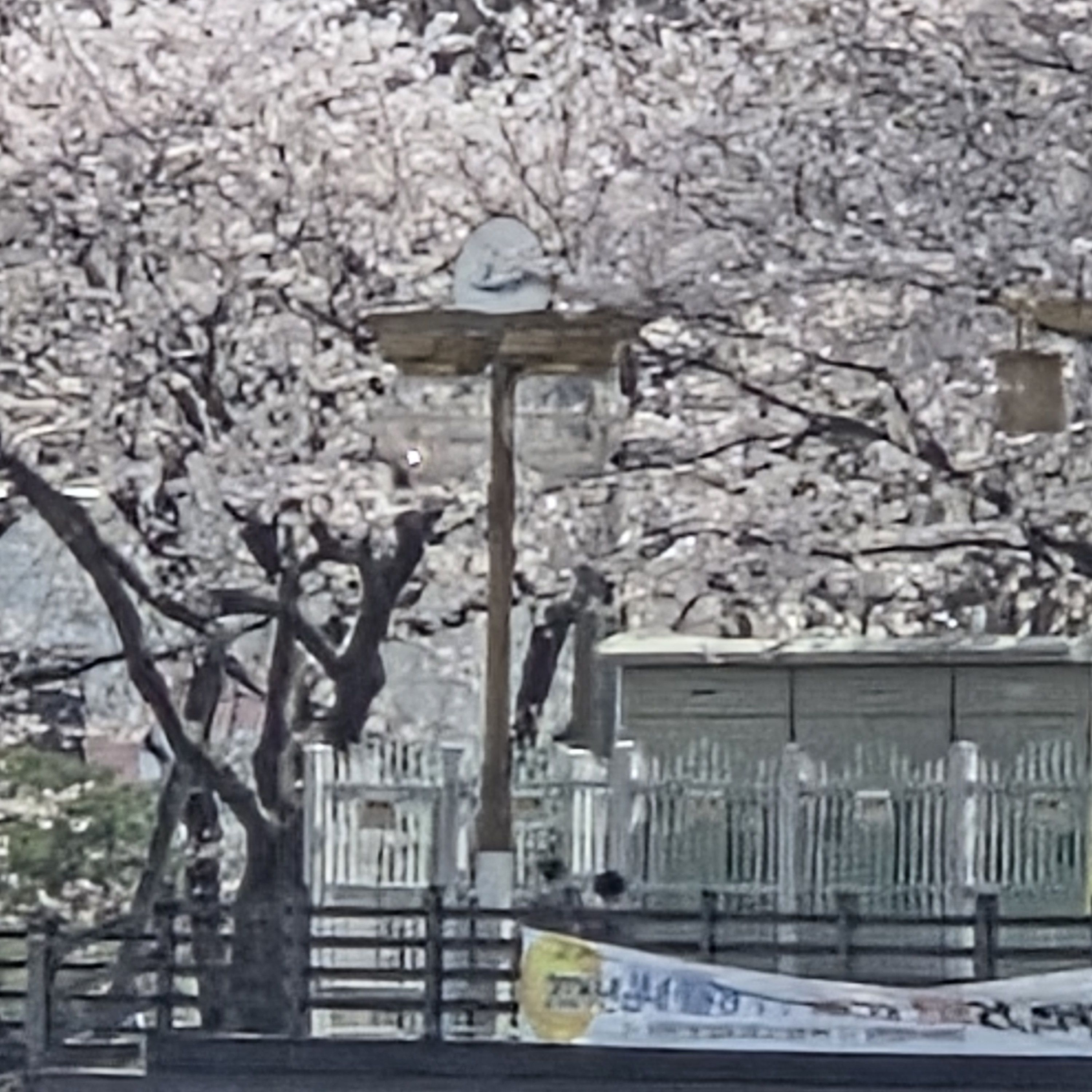 귀멸학원 초능력(10명) +여우 대표 이미지