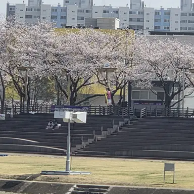 Profile image of 우즈이 텐겐