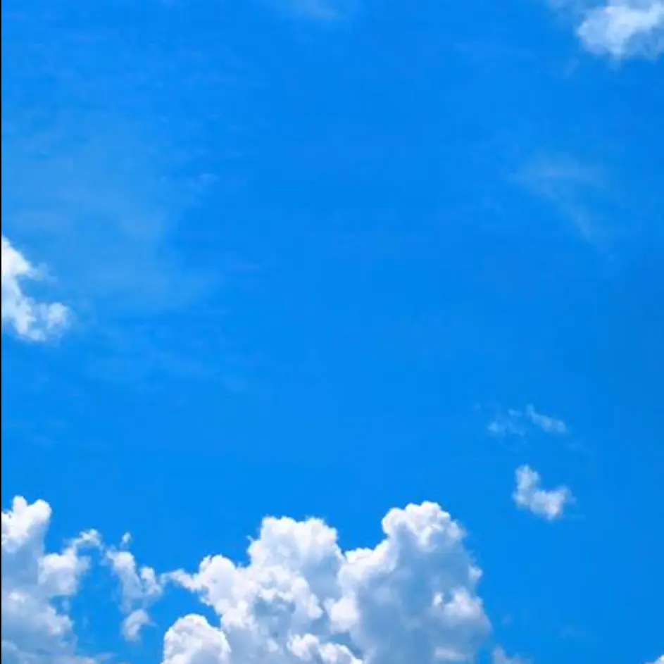 CalmSled8289의 少しの勇気で