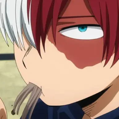 Profile image of Shoto Todoroki