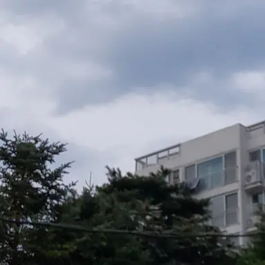 Profile image of 게스트666