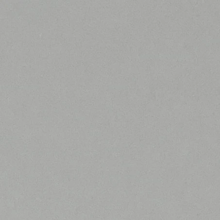 애니 레온하트