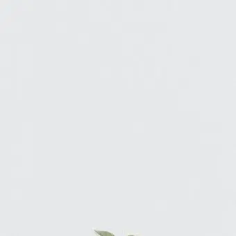 Profile image of 김제현