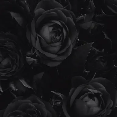 Profile image of 米津 玄師