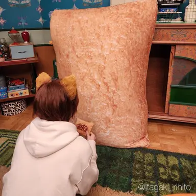 Profile image of 李光人