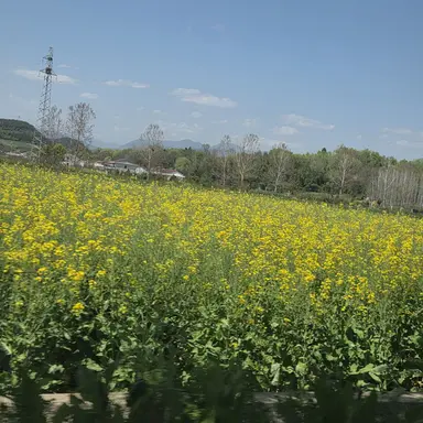 Profile image of 선생님