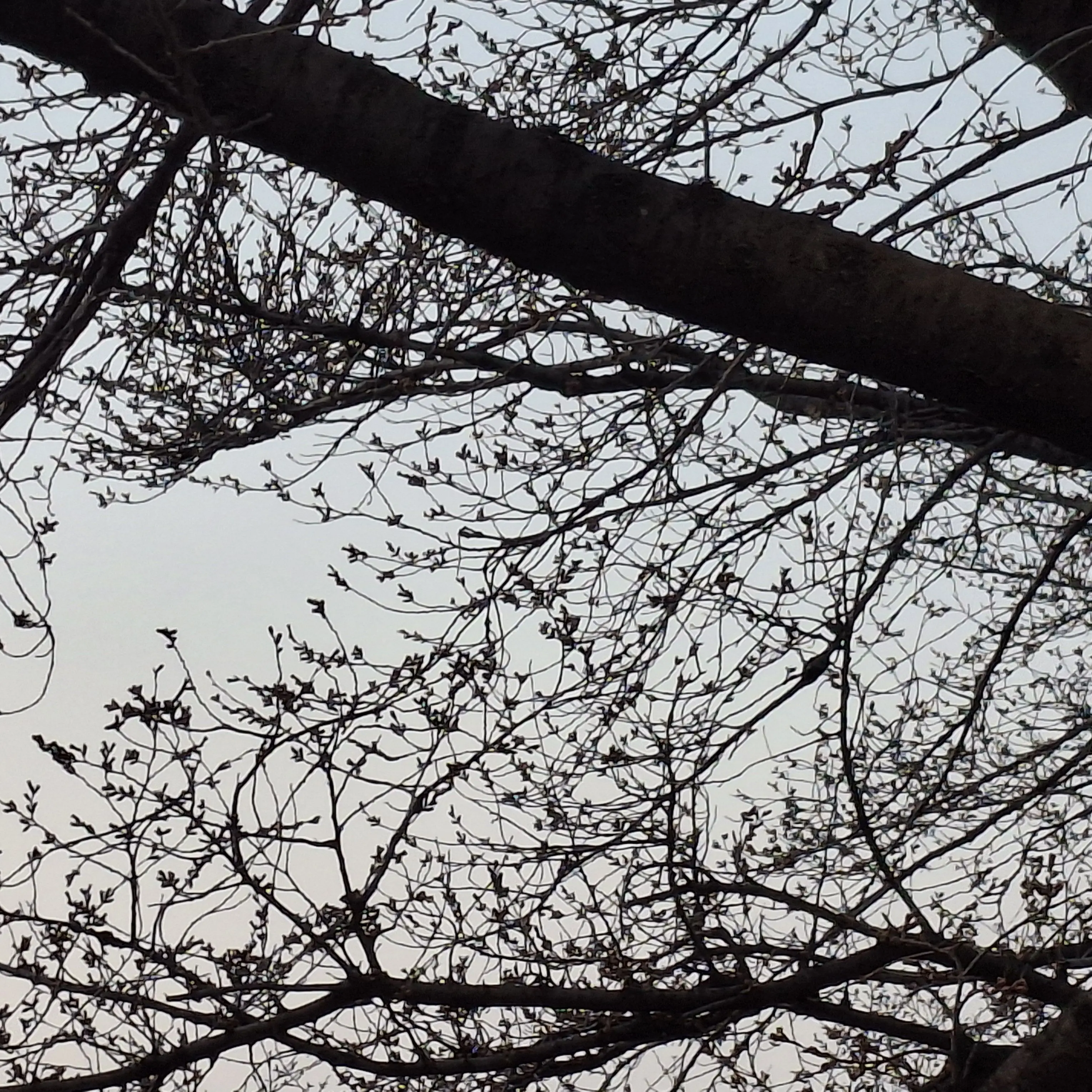 RoomyBrug4813의 사내연애를 한다.