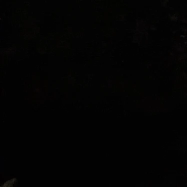 엔텍