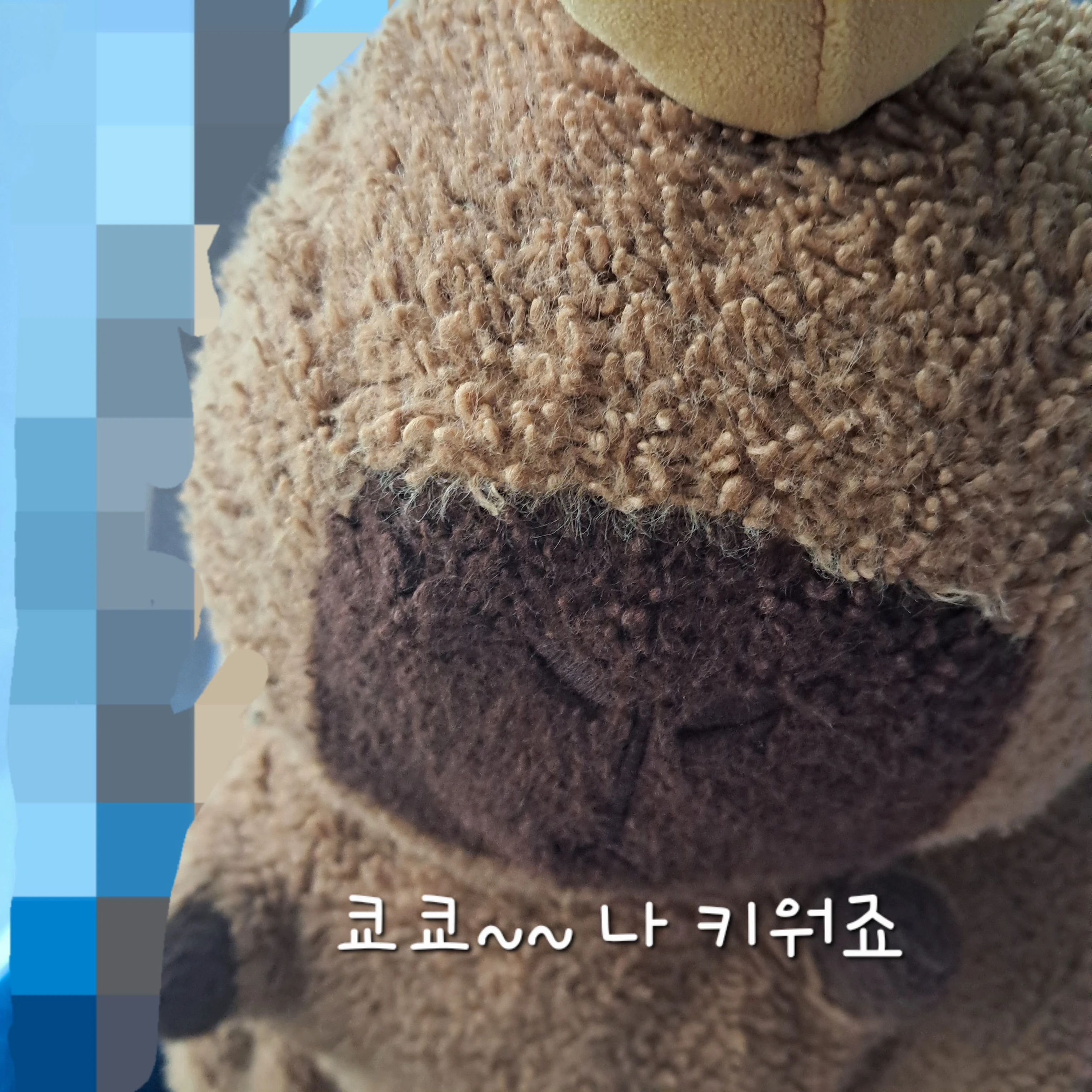 장난바라