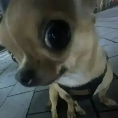 Profile image of 한진