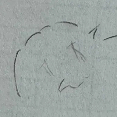 Profile image of Theo