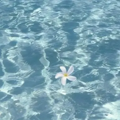 Profile image of 민지