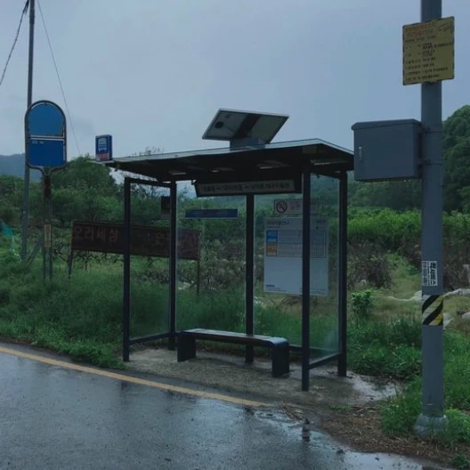 정공룡